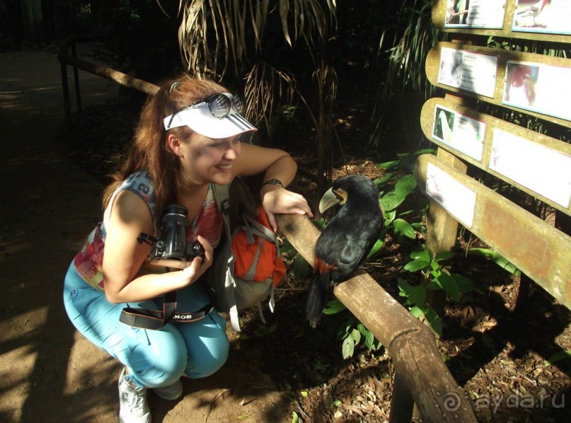 В Бразилию самостоятельно! Часть 1. Водопады Игуасу, парк птиц, Итайпу