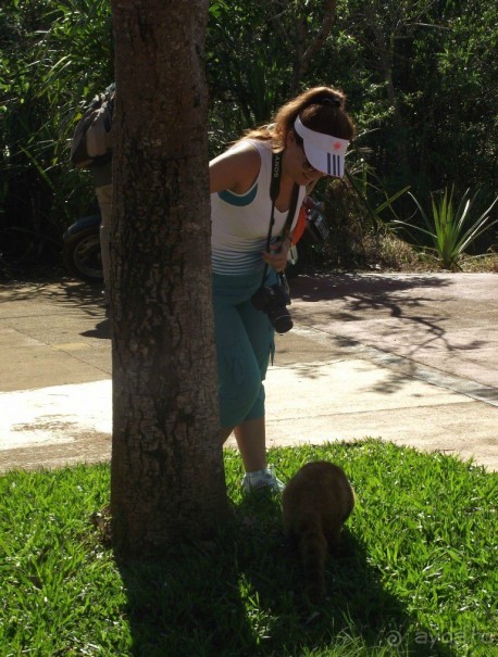 В Бразилию самостоятельно! Часть 1. Водопады Игуасу, парк птиц, Итайпу