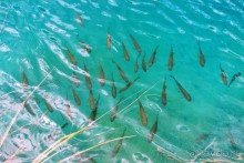 Чудесная неделя в Замечательнейшей стране...)