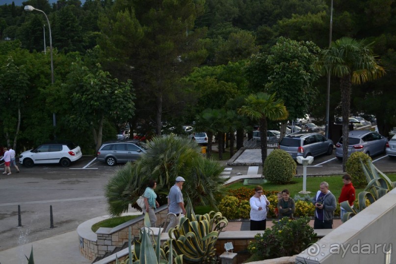 Чудесная неделя в Замечательнейшей стране...)