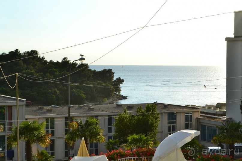 Чудесная неделя в Замечательнейшей стране...)