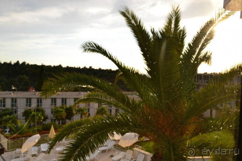 Чудесная неделя в Замечательнейшей стране...)