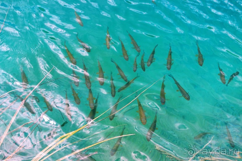 Чудесная неделя в Замечательнейшей стране...)