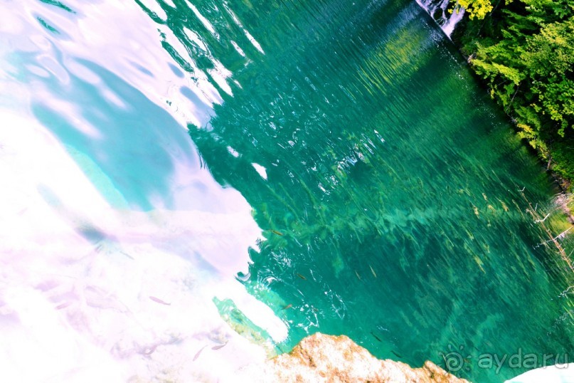 Чудесная неделя в Замечательнейшей стране...)