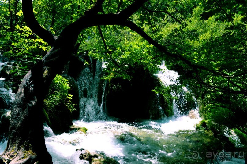 Чудесная неделя в Замечательнейшей стране...)