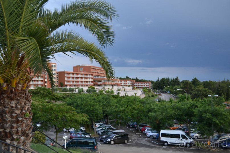 Чудесная неделя в Замечательнейшей стране...)