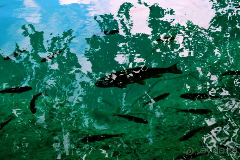 Чудесная неделя в Замечательнейшей стране...)