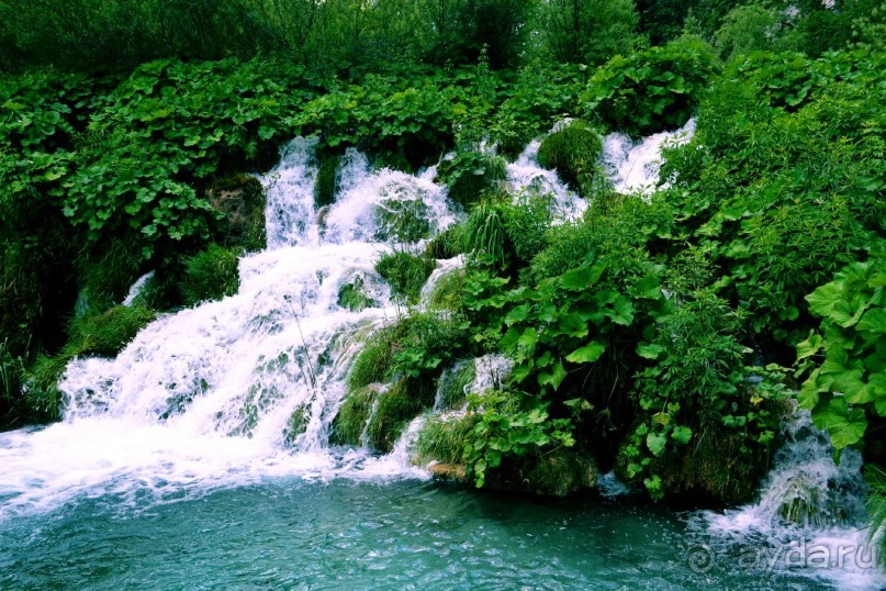 Чудесная неделя в Замечательнейшей стране...)