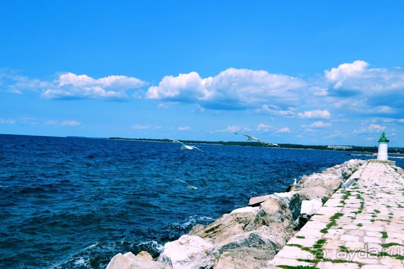 Чудесная неделя в Замечательнейшей стране...)