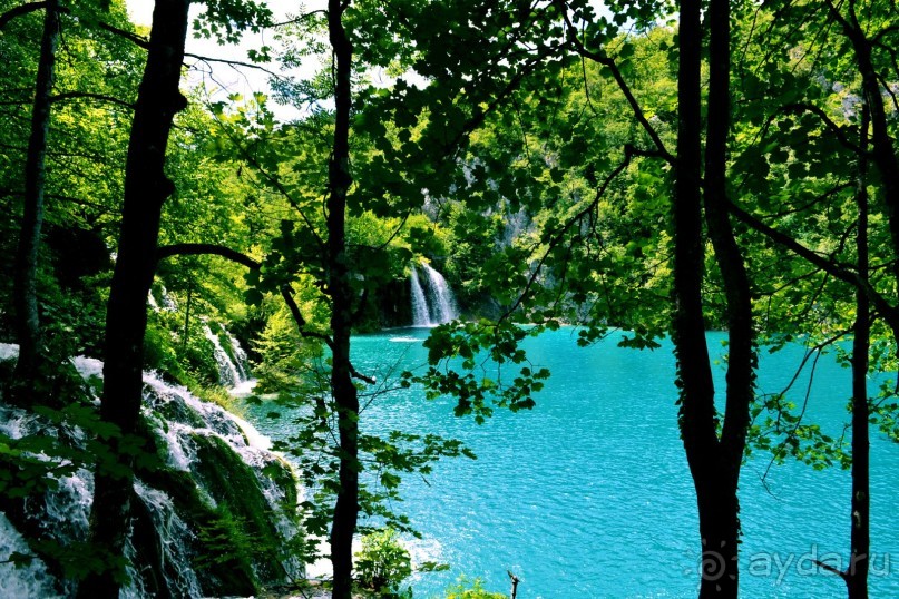 Чудесная неделя в Замечательнейшей стране...)