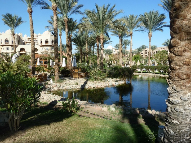 я в отеле, тут здорово!