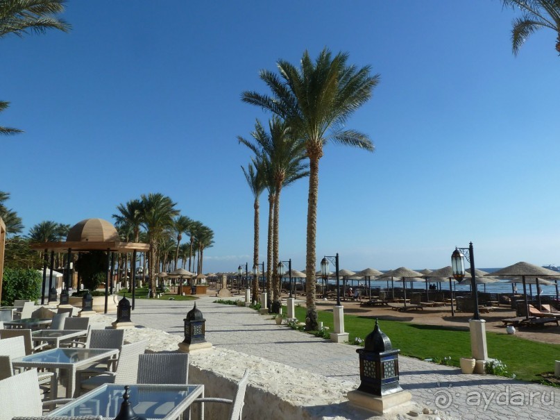 я в отеле, тут здорово!