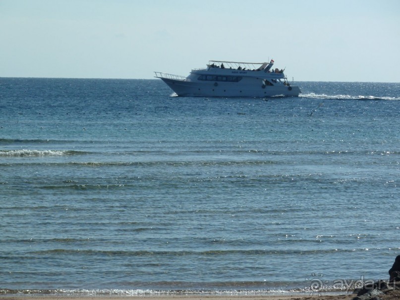 я в отеле, тут здорово!