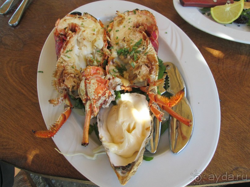 В поездках по острову Родос.