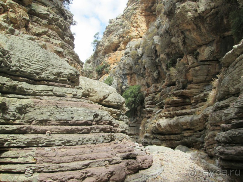 В поездках по острову Родос.