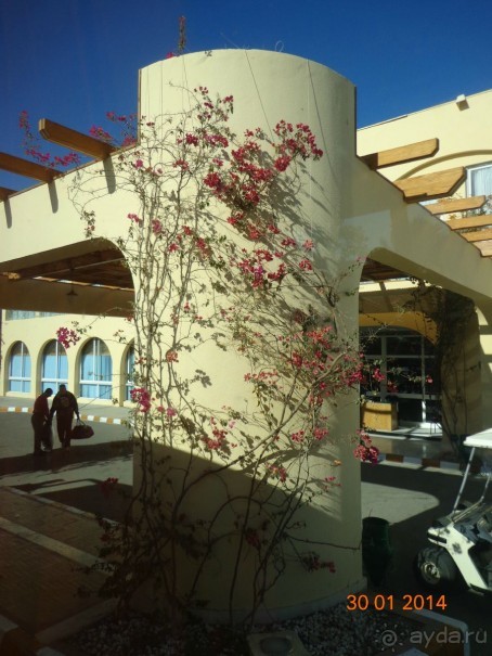 МОРЕ.СОЛНЦЕ.ПЕСОК.ВСЕ КЛАСС.