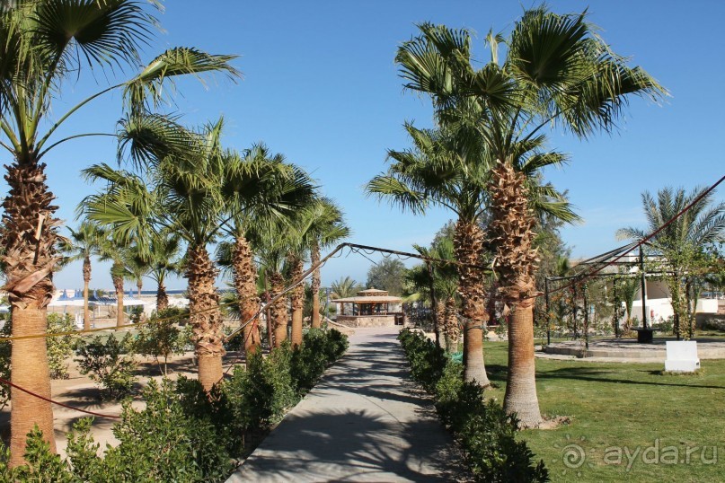 МОРЕ.СОЛНЦЕ.ПЕСОК.ВСЕ КЛАСС.