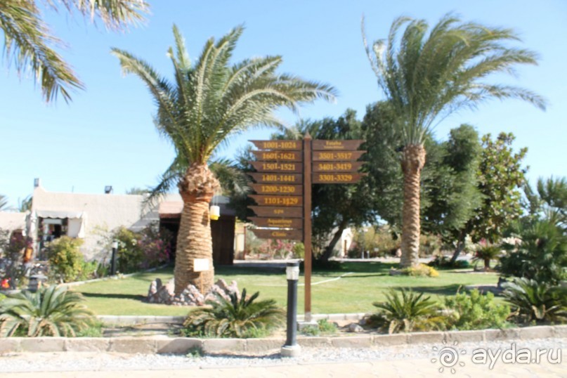 МОРЕ.СОЛНЦЕ.ПЕСОК.ВСЕ КЛАСС.