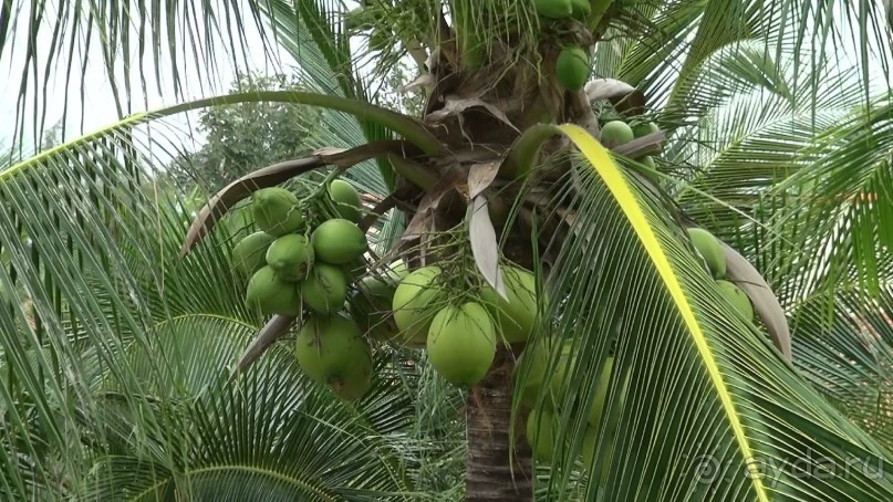 Достойный для отдыха во Вьетнаме отель