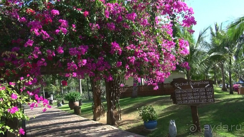 Достойный для отдыха во Вьетнаме отель