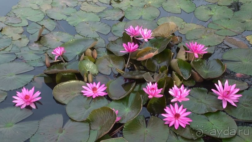 Достойный для отдыха во Вьетнаме отель