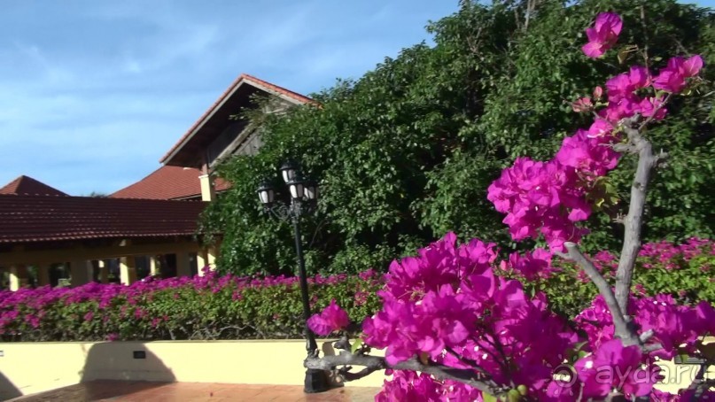 Достойный для отдыха во Вьетнаме отель