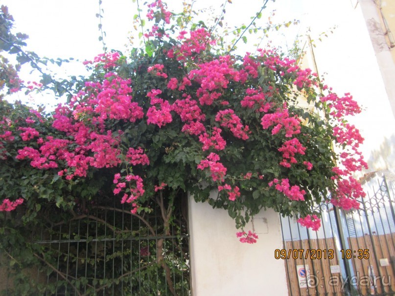 Италия – это праздник, который всегда со мной