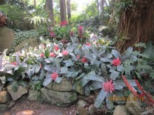 Италия – это праздник, который всегда со мной