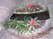 Италия – это праздник, который всегда со мной