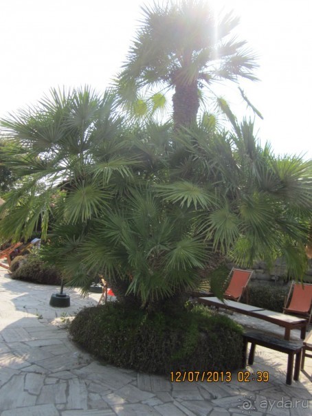 Италия – это праздник, который всегда со мной