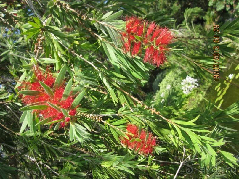 Италия – это праздник, который всегда со мной