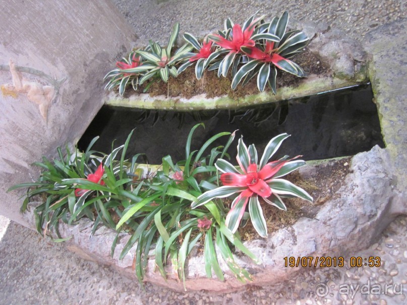 Италия – это праздник, который всегда со мной