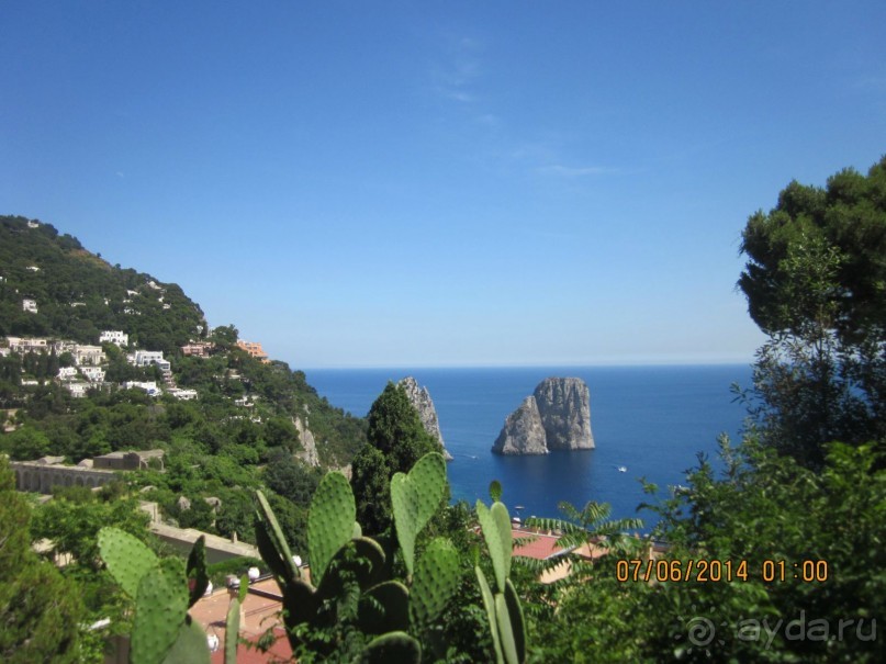 Искья великолепная