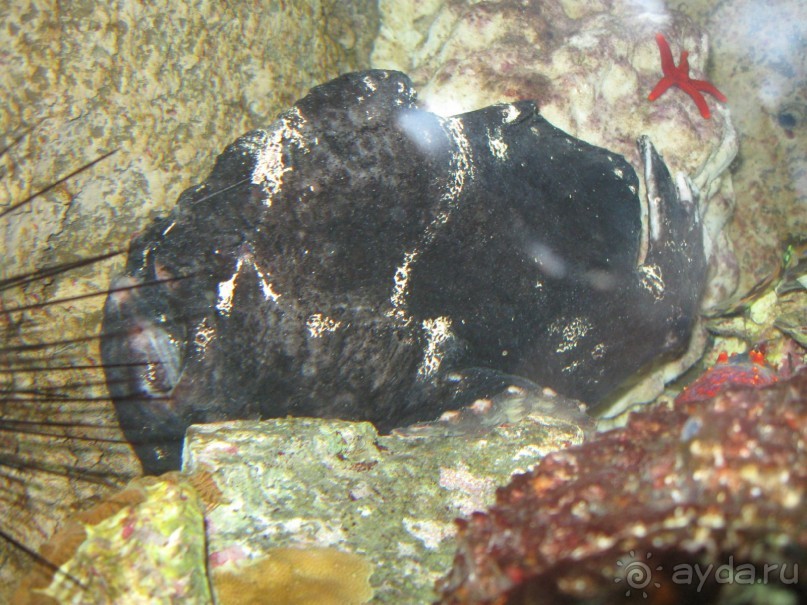 ВЬЕТНАМ МУЙНЕ