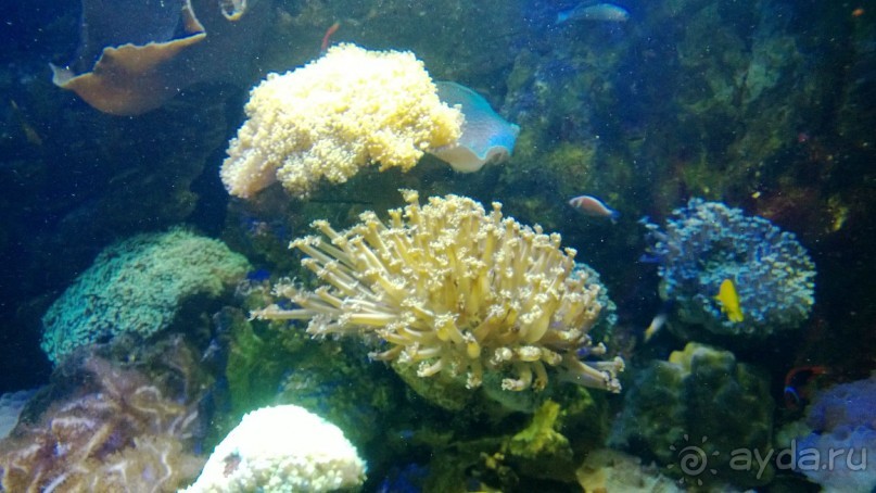 ВЬЕТНАМ МУЙНЕ