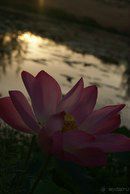 ВЬЕТНАМ МУЙНЕ