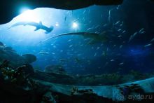 4 дня в Гонконге