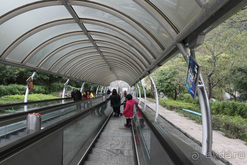 4 дня в Гонконге