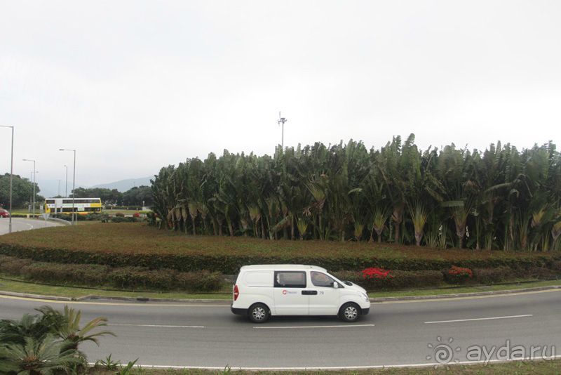 4 дня в Гонконге