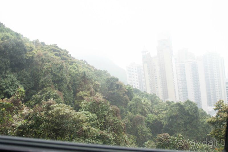 4 дня в Гонконге