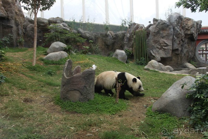 4 дня в Гонконге