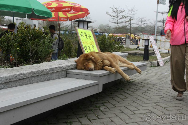 4 дня в Гонконге