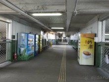 Поездка в Камбоджу. 28 октября - 4 ноября 2014г