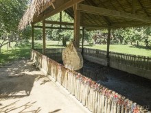 Поездка в Камбоджу. 28 октября - 4 ноября 2014г