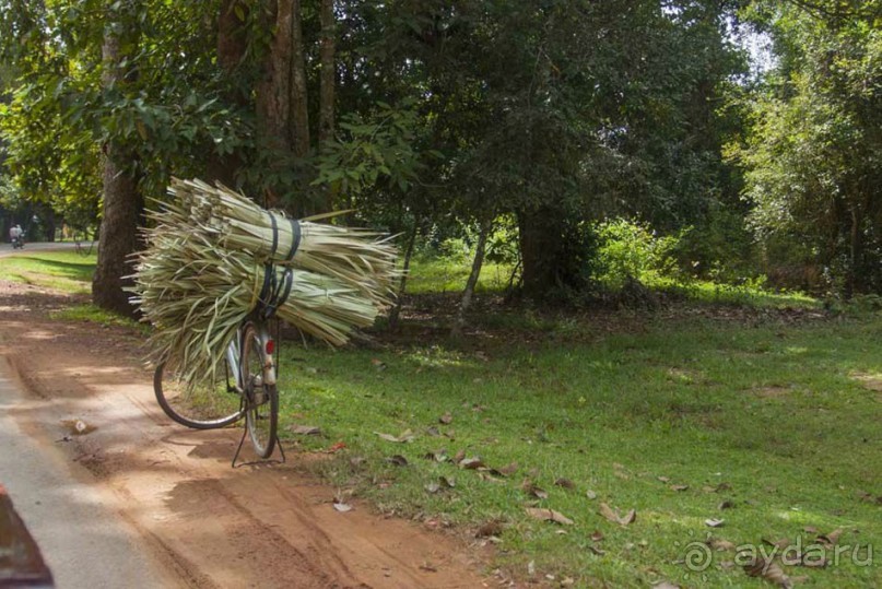 Поездка в Камбоджу. 28 октября - 4 ноября 2014г