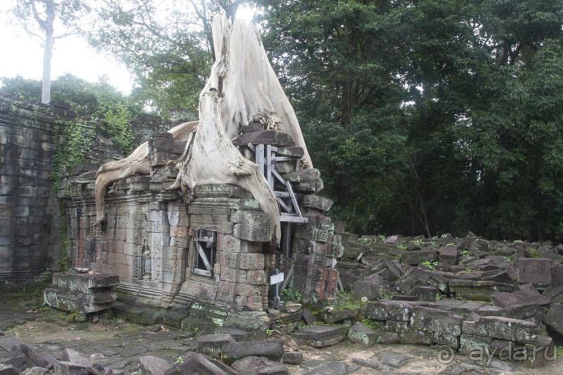 Поездка в Камбоджу. 28 октября - 4 ноября 2014г