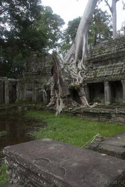 Поездка в Камбоджу. 28 октября - 4 ноября 2014г