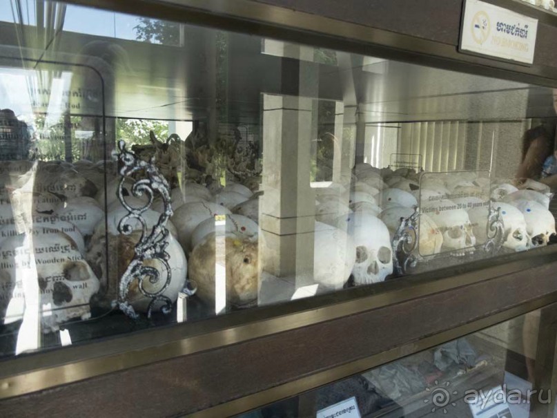 Поездка в Камбоджу. 28 октября - 4 ноября 2014г