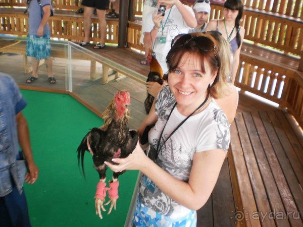 фото Mind Resort