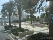 Великолепие- благодарность первому президенту ОАЭ !